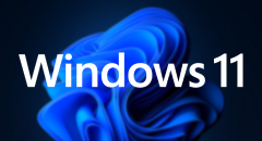 AutoCAD for Windows 11